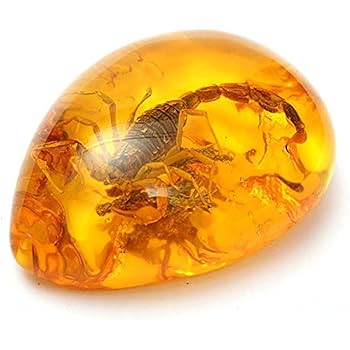 ☆ht☆美品！琥珀の置物 Amazon.co.jp: 内包物琥珀バルト海ペンダントネックレス4*5.5 cm