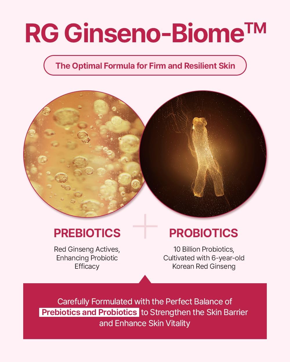 Donginbi Red Ginseng Daily Defense Essence - Firming & Skin Barrier Repair Serum for Dry Skin, Korean Red Ginseng Essence, Korean Skin Care Gifts for Women, 1.01 floz / 30ml - Image 4