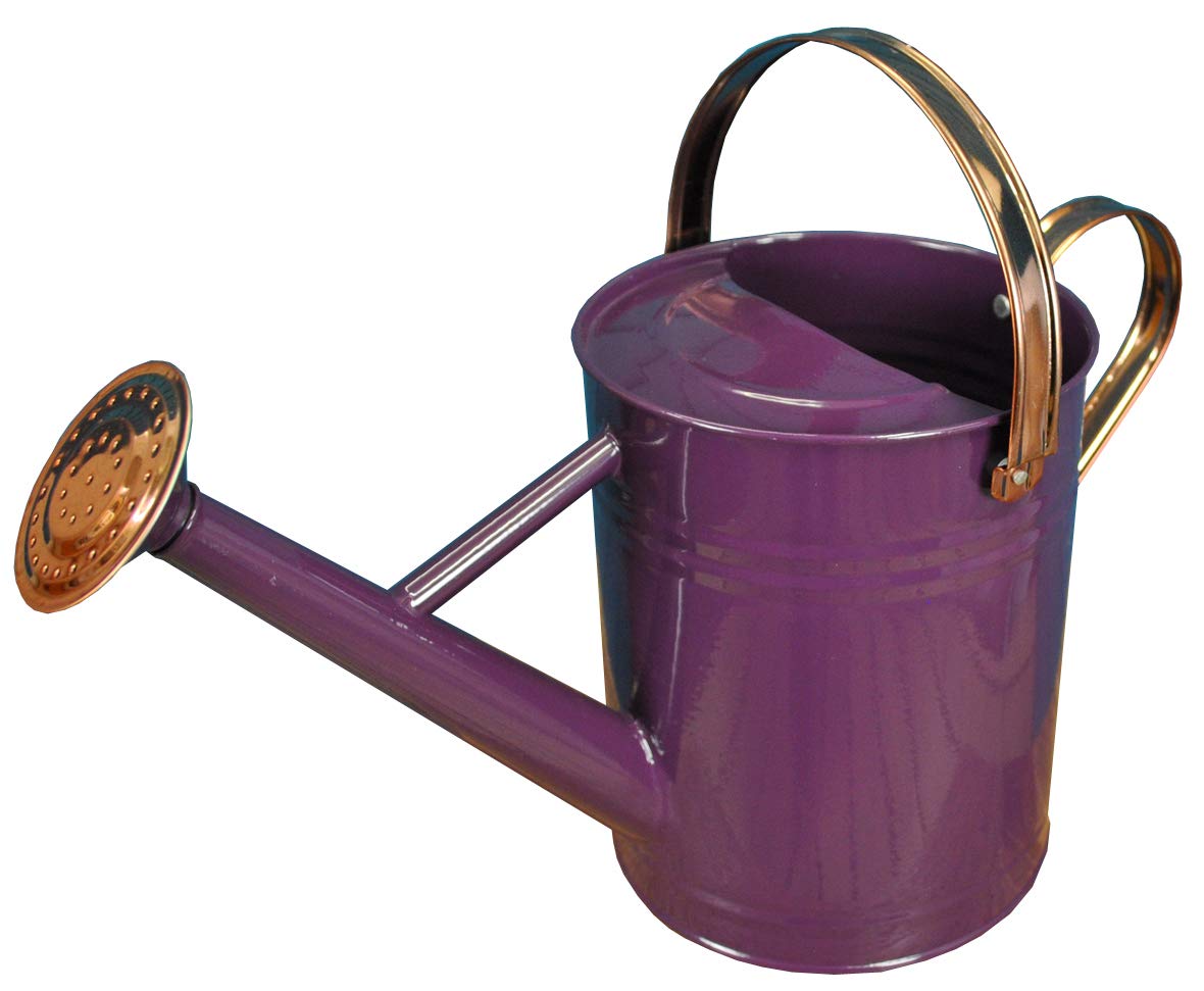 Selections Purple Heather & Copper Metal Watering Can (3.5 Litre)