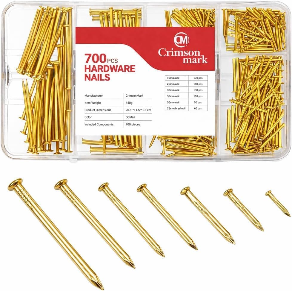 Nails Assortment Kit - 700 PCS Galvanized High Carbon Nails for Hanging Art