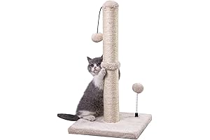 Cat Scratching Post Premium Basics 22" Kitten Scratcher