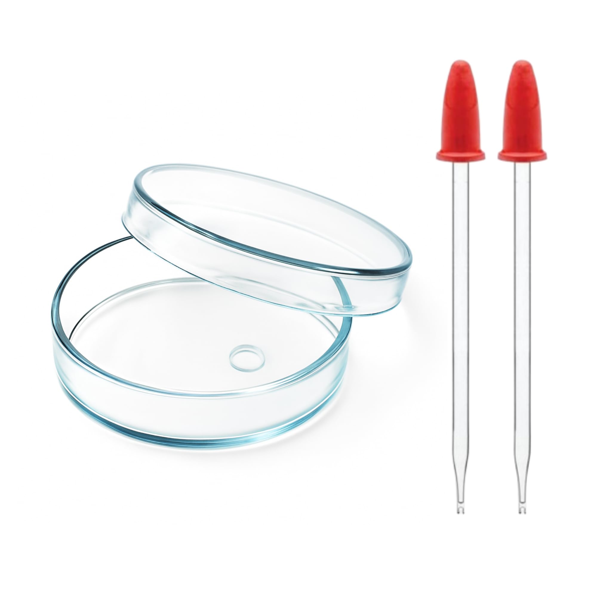 Borosilicate Glass Petri Dish with Lid – Laboratory Grade Glassware for Science Labs | Includes 2 Reusable 4-Inch glass Droppers for Safe Sample Handling, Experiments & Cultures (3 inch)-image-8