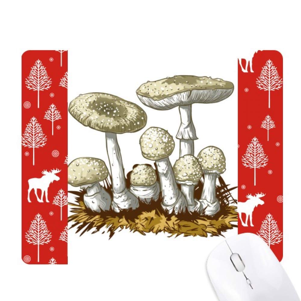 Souris de Noël et champignons blancs pour décorer votre salon