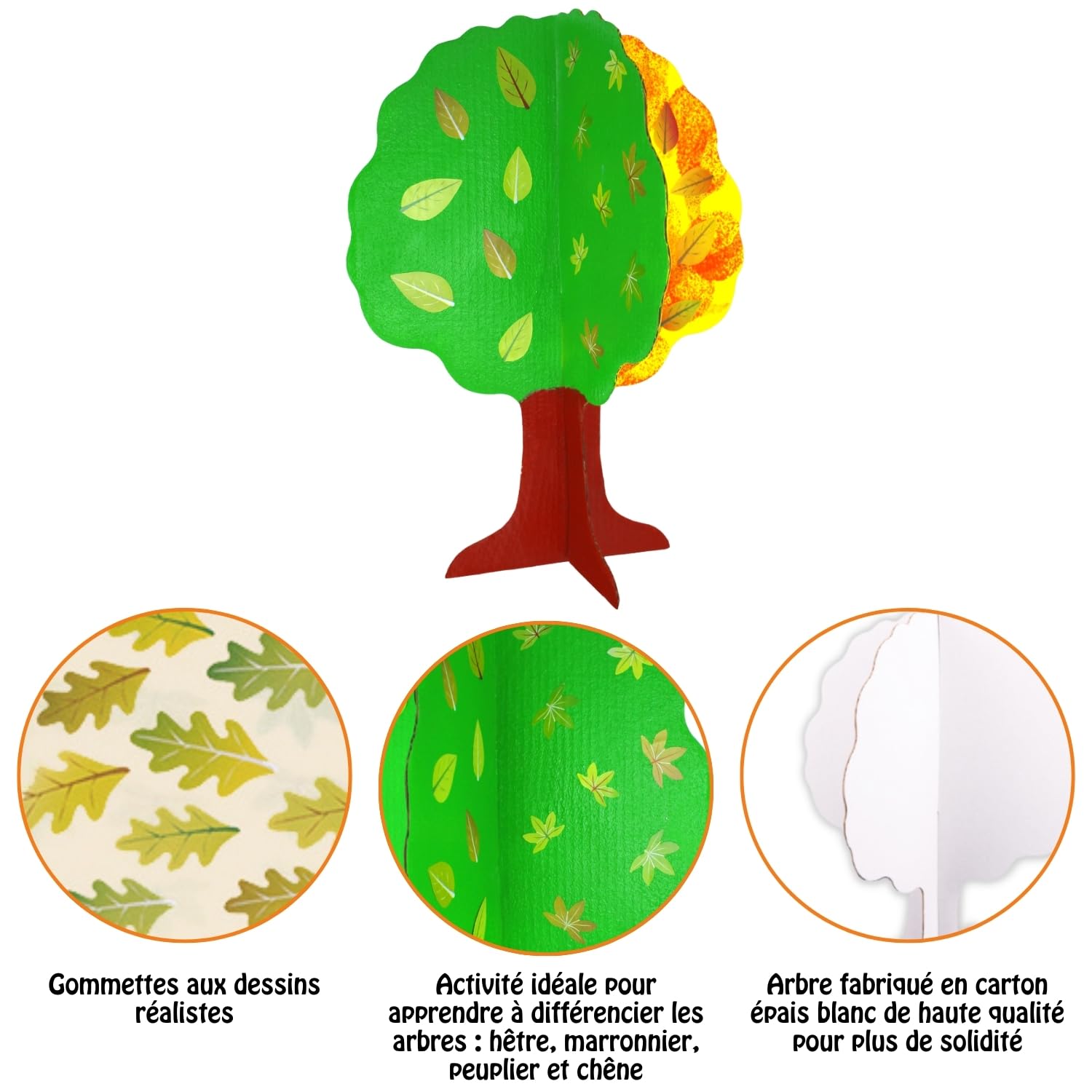 Cléopâtre - Kit de árbol de 4 estaciones - Lote de 30 árboles de cartón para decorar, 1904 gomets, 2 pinturas acrílicas - ocio creativo niño