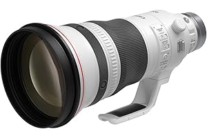 The Revolutionary Lens RF 400mm F2.8 L Is USM