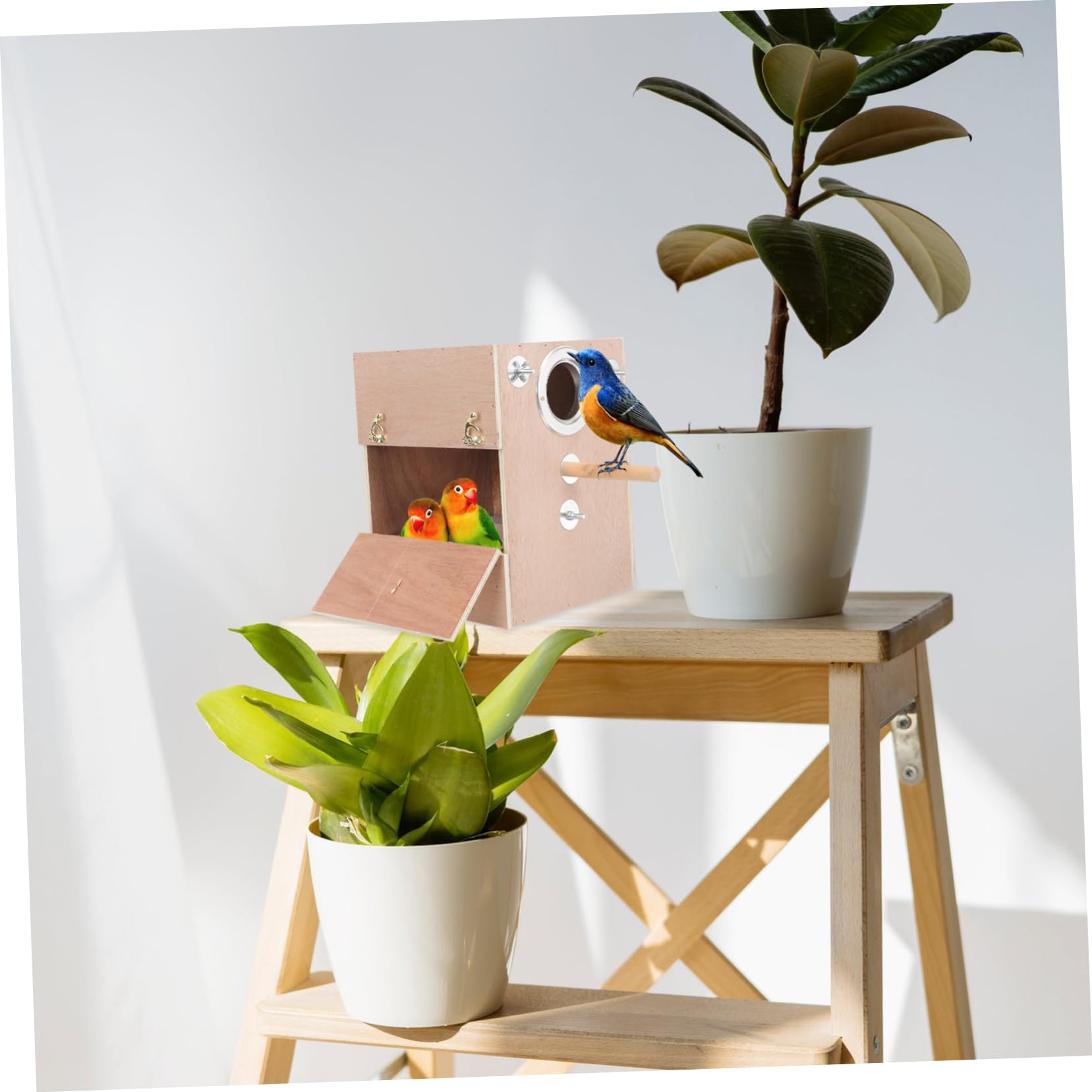 ERINGOGO Nichoir Bois pour Perroquets Boîte De Nidification pour Oiseaux avec Design Pratique Et pour Élevage des Perroquets Et Inséparables