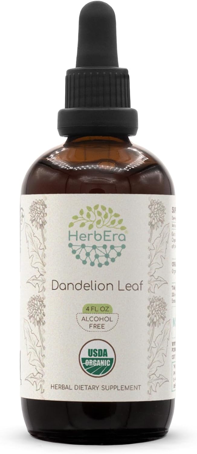 HerbEra Dandelion Leaf B120 USDA Organic Tincture | Alcohol-Free Extract, High-Potency Herbal Drops, Digestive System | Certified Organic Taraxacum Officinale Dried Leaf (4 fl oz)