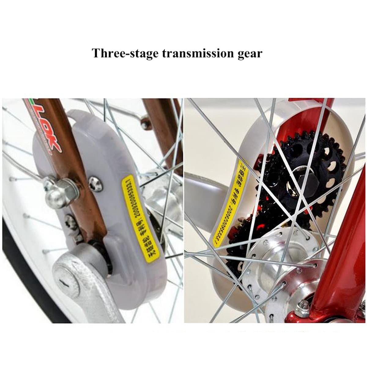 Triciclo Adulti Esterno Tre Ruote con Telaio in Acciaio, Bici Tre Ruote Adulti, Donne e Uomini, con Cestino portaoggetti, pedalata assistita