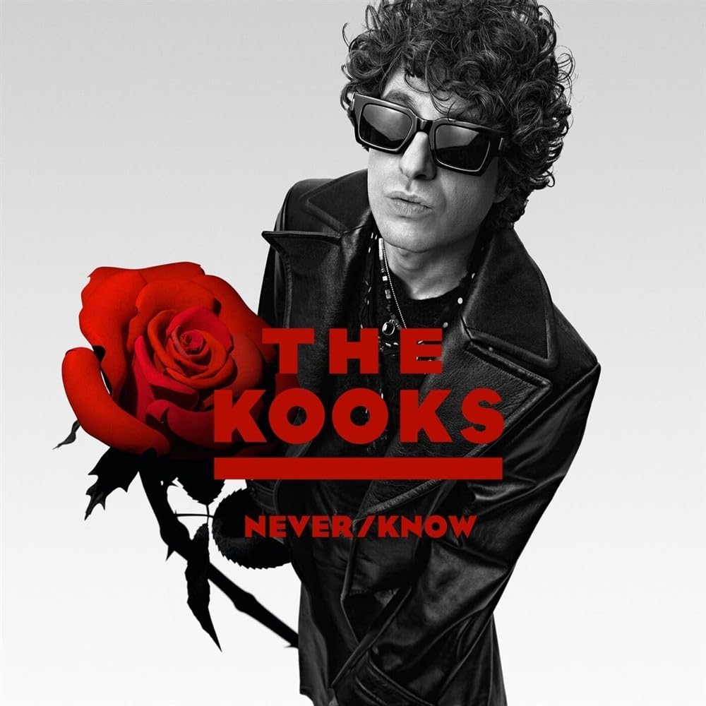 The Kooks | Never/ Know | Vinyl LP - White