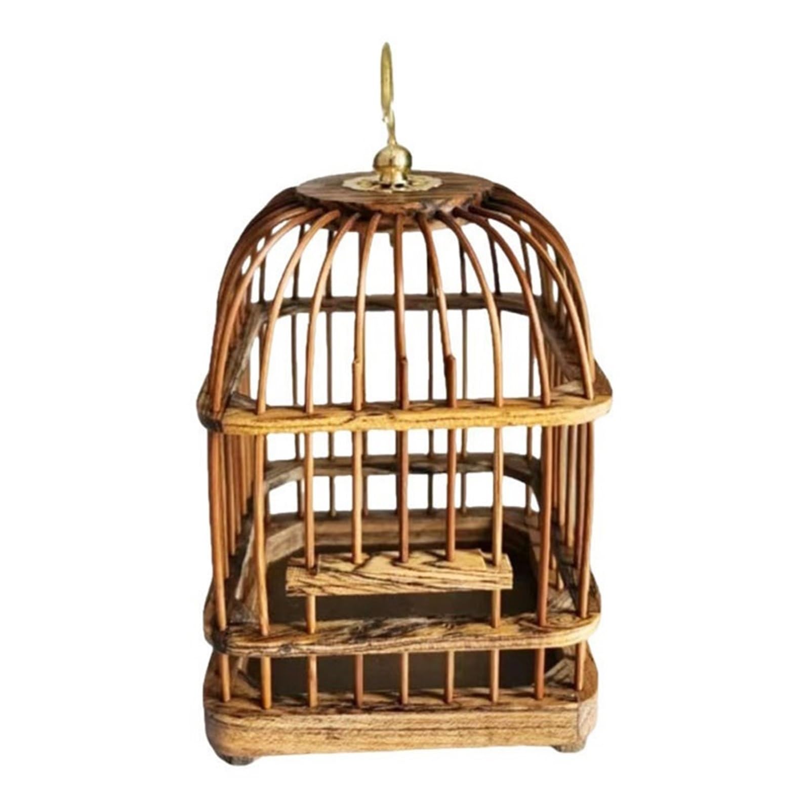 Cage à sauterelles et grillons pour observer la nature chez soi