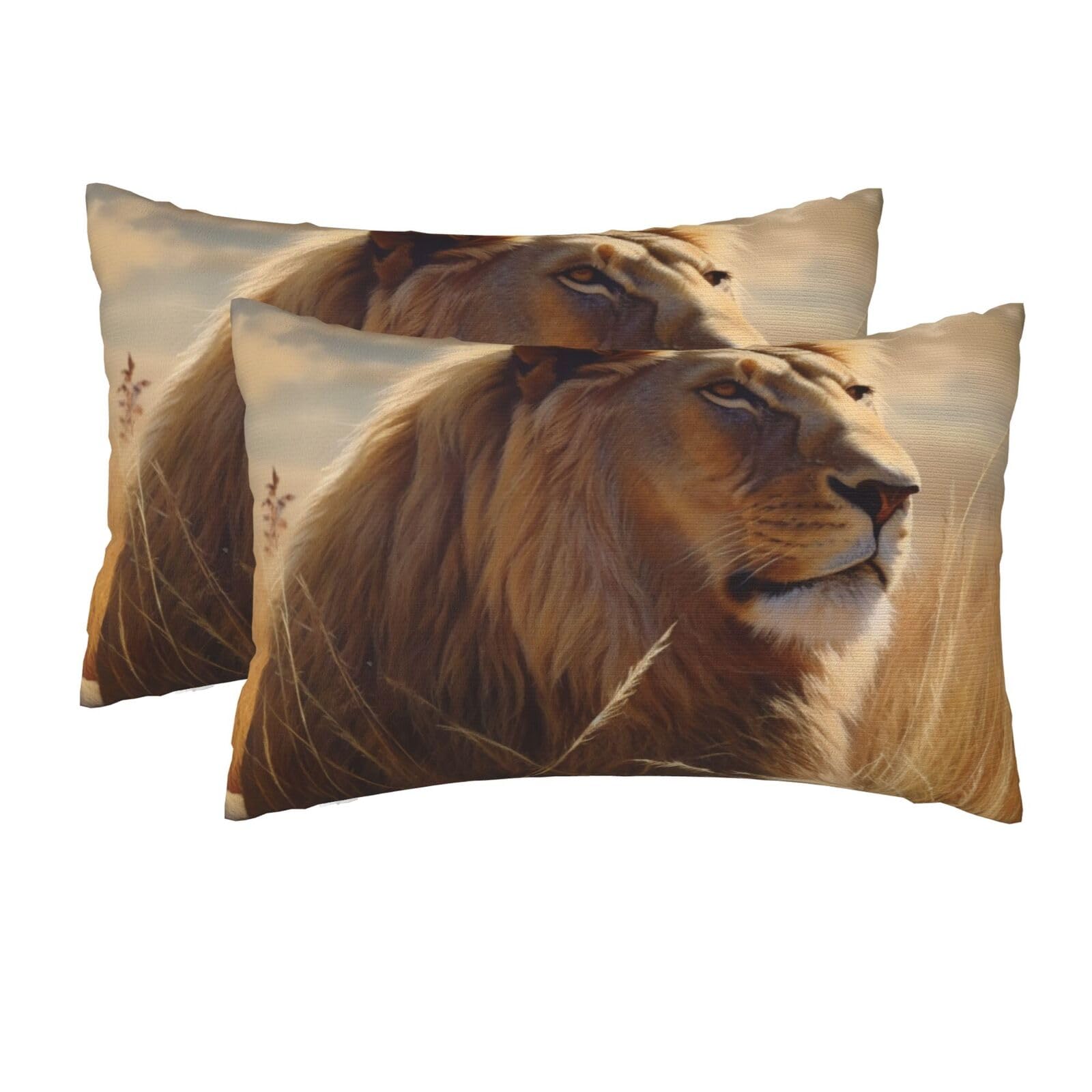 2 Pack Queen Size Pillow Cases for Hair and Skin Soft Breathable Pillow Case Covers with Hidden Zipper Prairie Lion Pillowcase 20x30 Inches Pillow Cover for Sleeping Gift