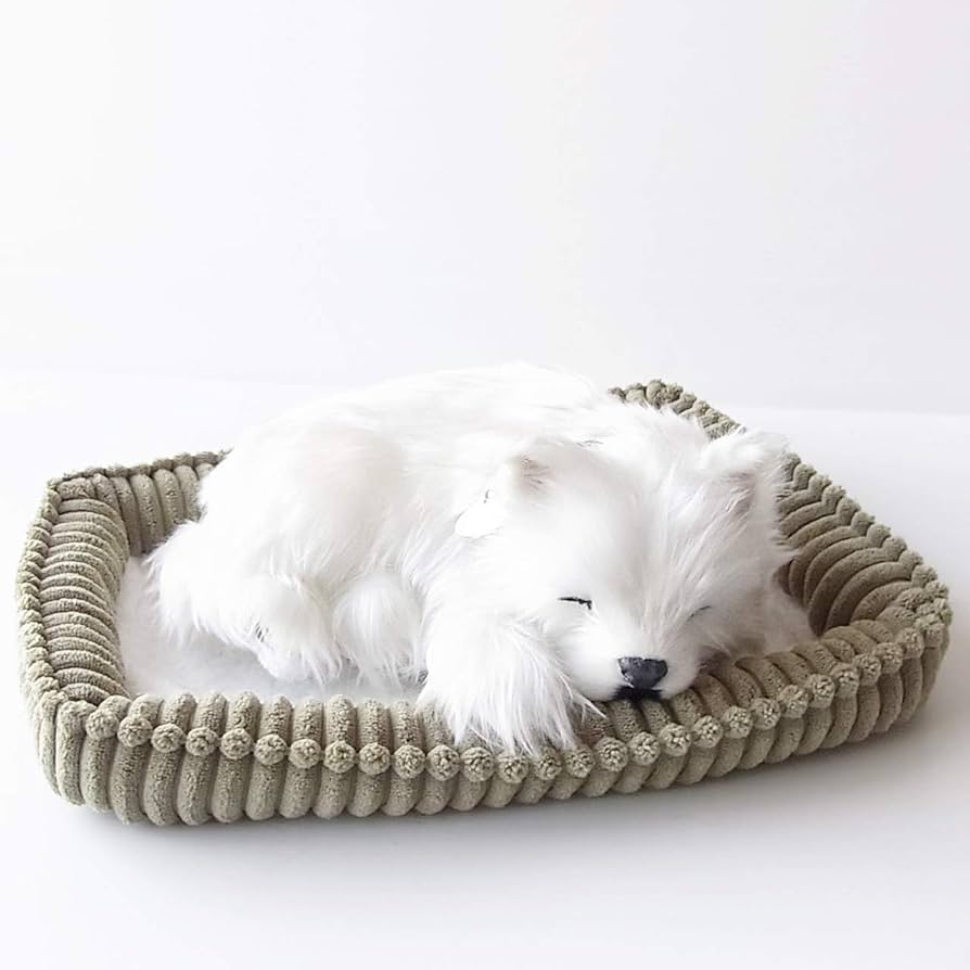 Amazon.co.jp: ニニアンドキノ パーフェクトペット (小サイズ