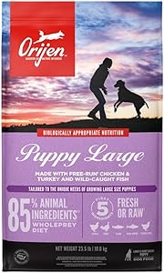 Best Puppy Food for Labs 2 61GL1gHpEfL. AC SL300