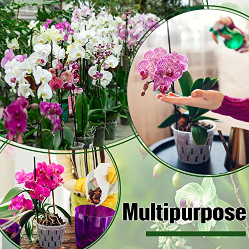 12 Pack Orchid Pot 6 Inch Clear Orchid Pots With Holes Plastic Flower Plant Pots Breathable Slotted Orchids Planter For Indoor Outdoor Orchid, Plants, Flower Repotting, Nursery Drainage #TOP4