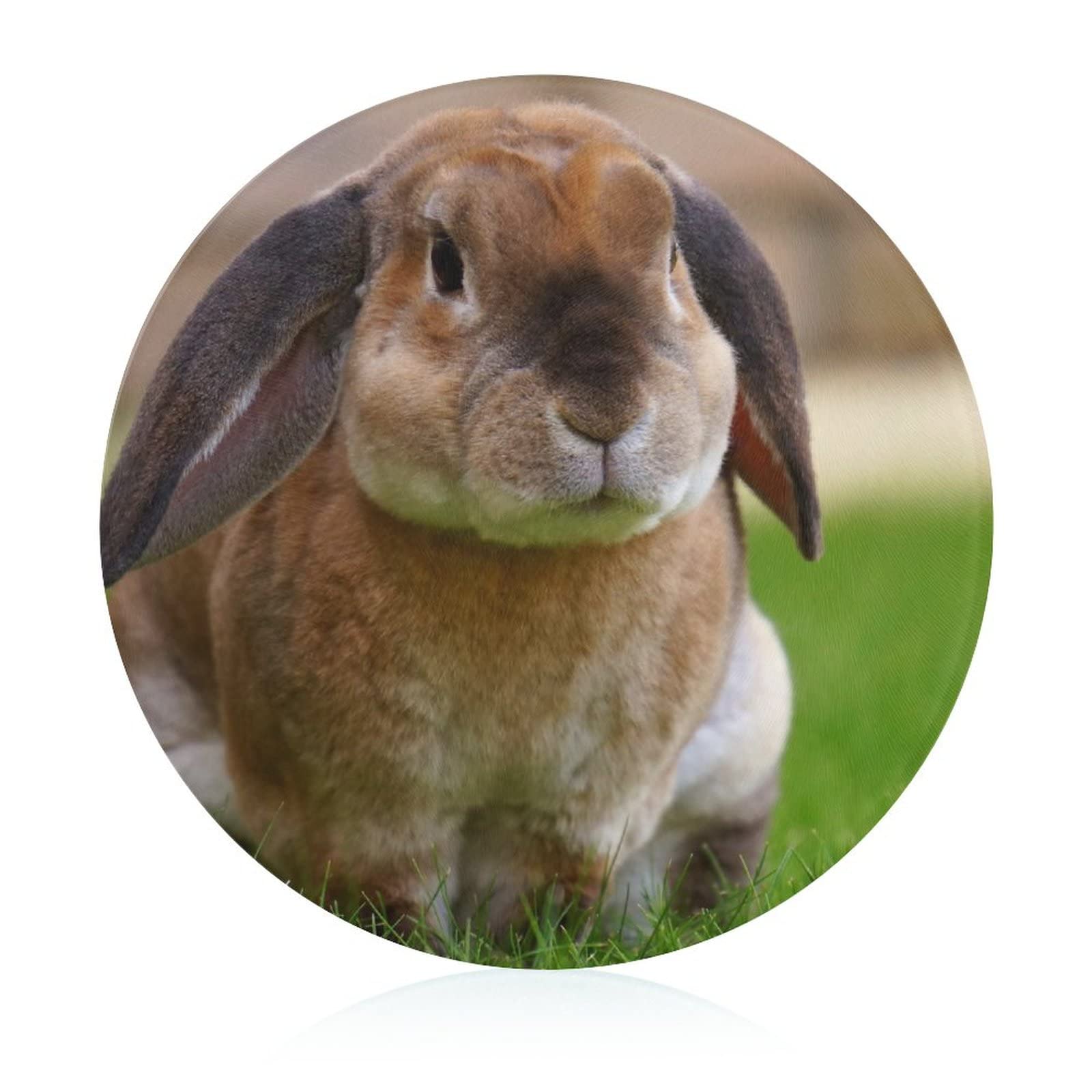 Planche à découper en verre motif lapin pour apéritifs réussis