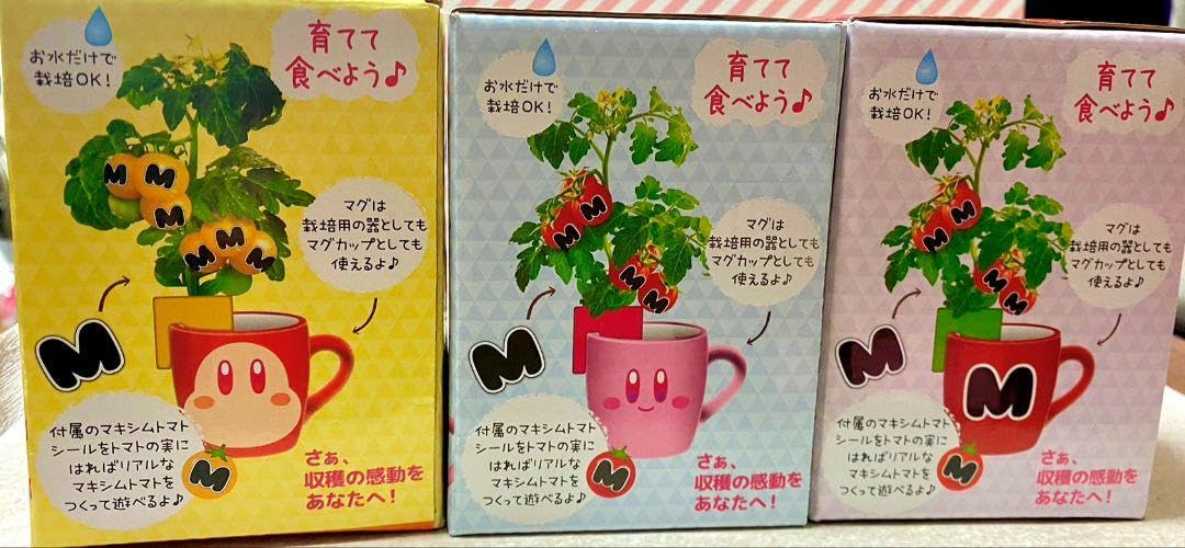 Amazon.co.jp: カービィマグ＆栽培キット3種セット : DIY・工具・ガーデン
