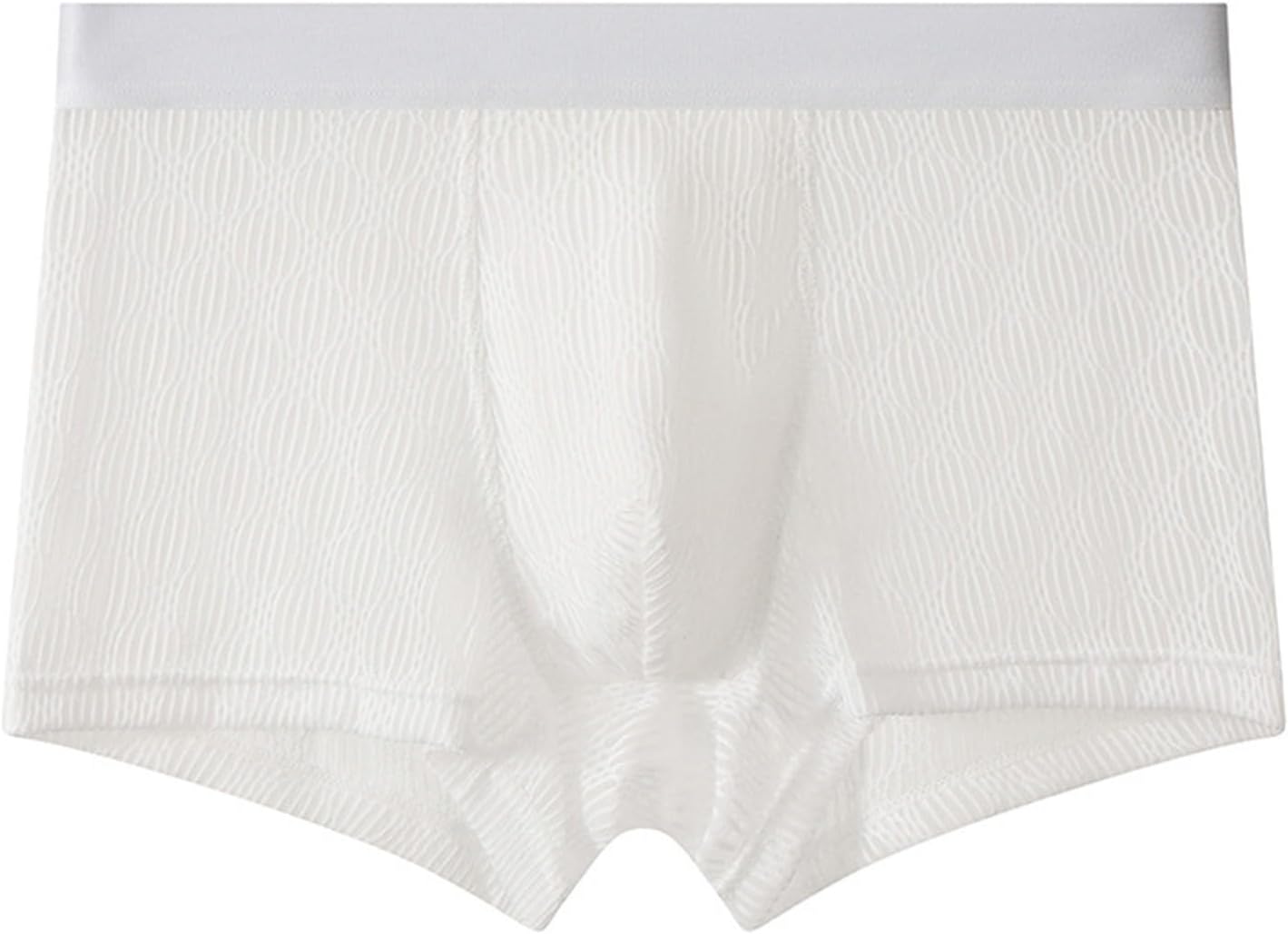 Men Mesh Boxer Briefs Low Rise Contour Pouch Trunks Underwear