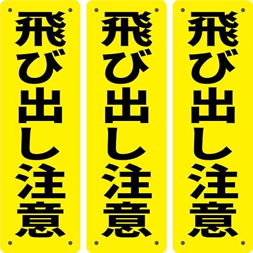 3Zbg ӊŔ ϋvFyяoӁz315mm×100mm1mmu pۉH+4ӏ5mmvplŔ W TC x ZLeB  ԏ U fh~  X x h OΉ (22 яo)