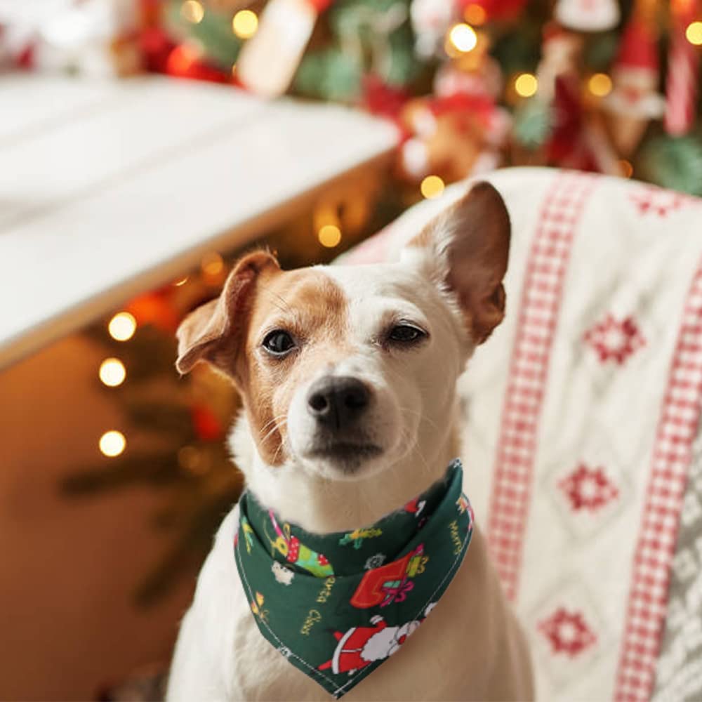 Geburtstags-Halstuch Für Hunde – Rot-schwarz Kariert Mit 'Birthday Boy' Aufdruck – Größe 71 Cm