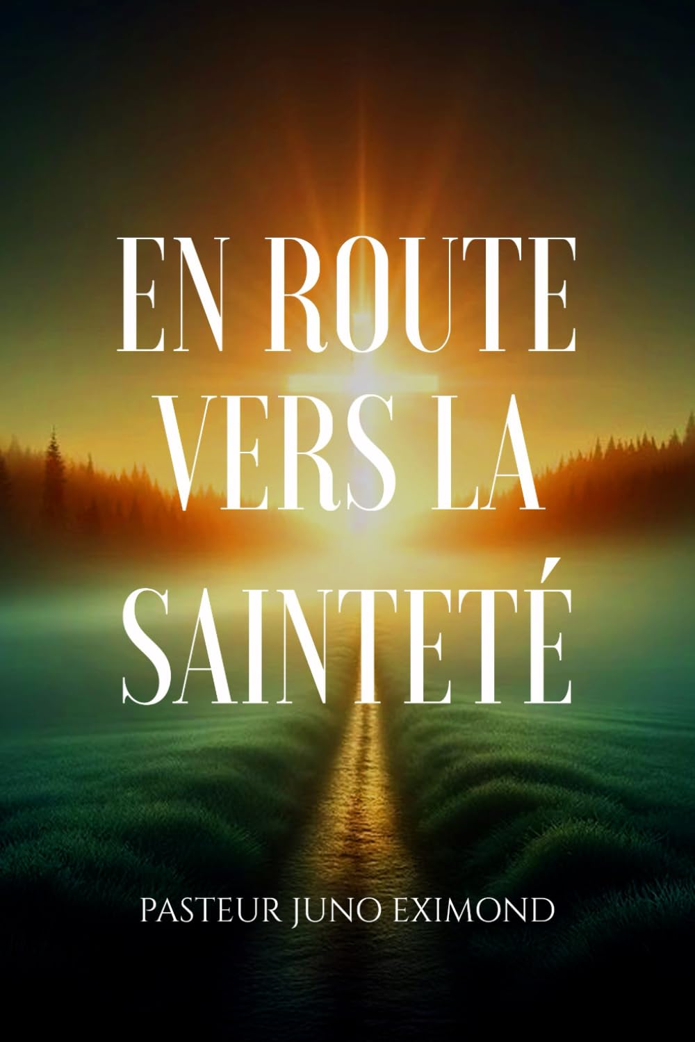 En route vers la Sainteté