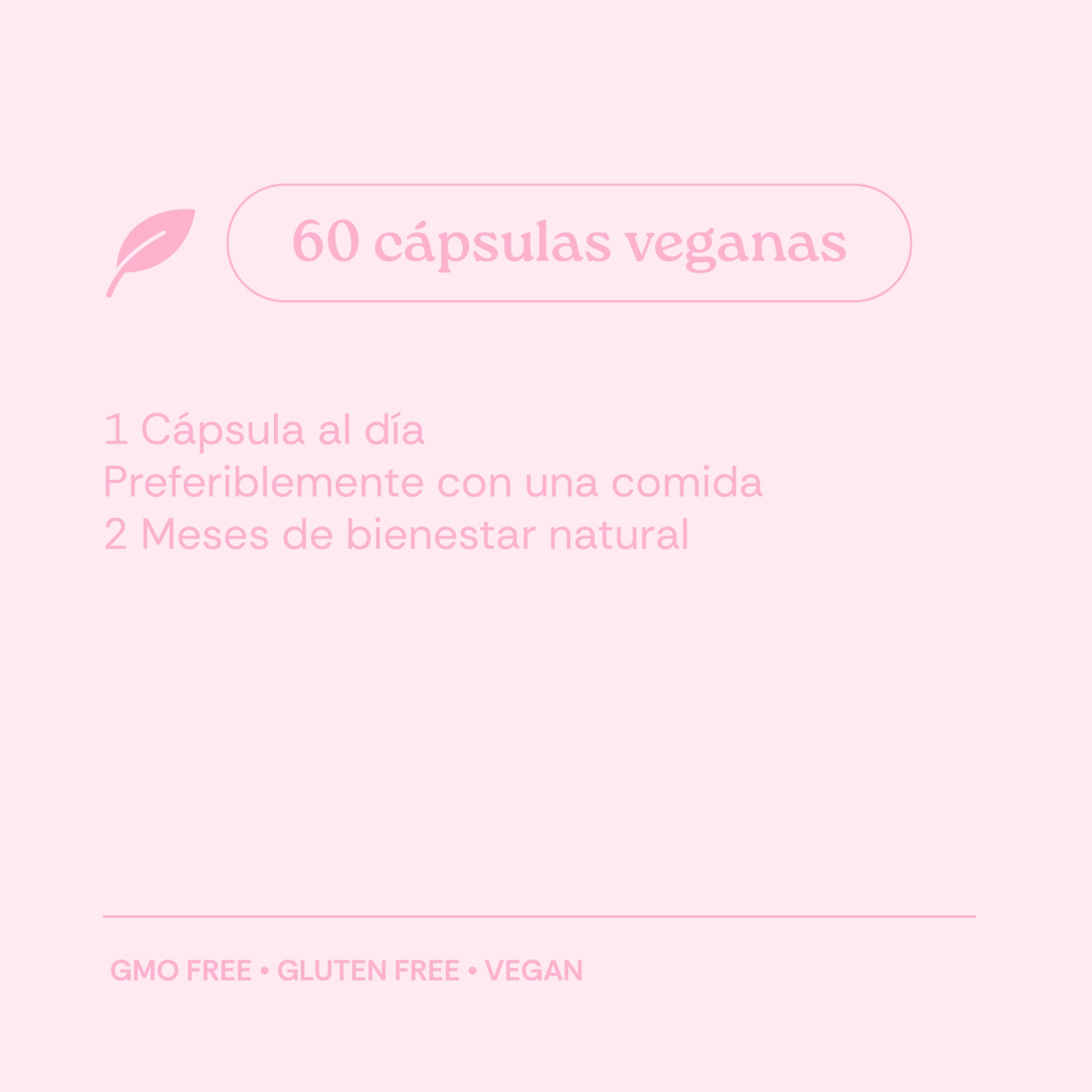 Ashwagandha KSM-66 para Mujer 300mg | Reduce Estrés y Cortisol | Energía, Equilibrio Hormonal y Concentración | Con Magnesio, Rhodiola y Té Verde | 60 Cápsulas Veganas