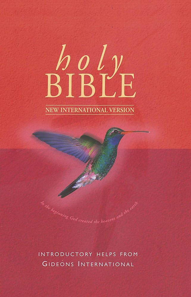 New International Version (Bible)