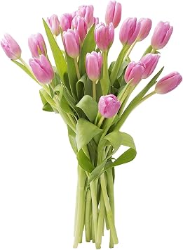 KaBloom-10 Pink Tulip Bouquet,Flowers for Valentine, Mothers Day