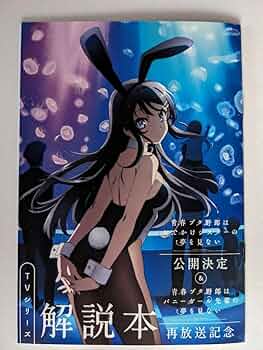 青ブタ 小説 61GLGGOo-HL._UF350,350_QL50_.jpg