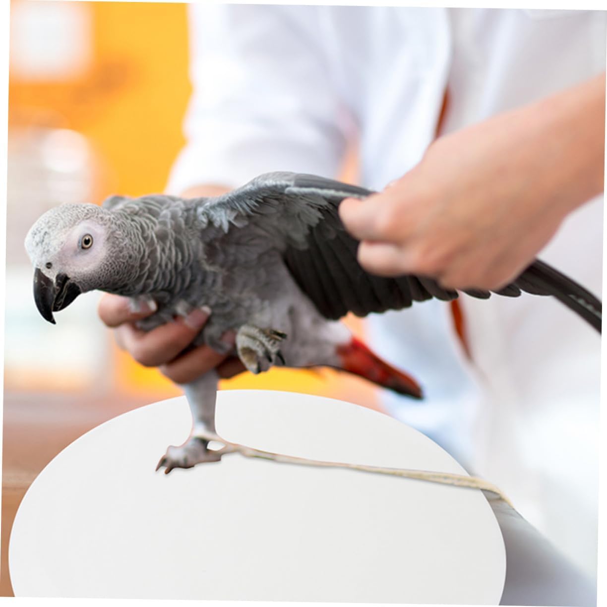 100pcs Non-Woven Bird Cage Liner Sheets Bottom Cage Pads Breathable Cushion for Easy Cleaning and Healthy Birds