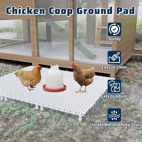 Pearwow Almofada de chão para galinheiro, almofadas de caminhada para galinheiro de 25 x 19 cm eleva
