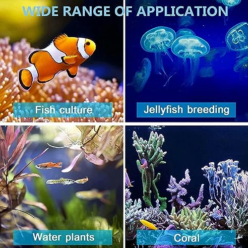 Refroidisseur d'eau aquarium 60L eau douce salée équipement culture - 8