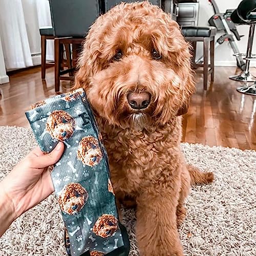 Customized Dog Socks3