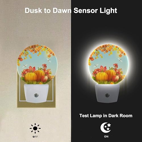 Miniatura 2 de LEDLAMP3001 - Luz de noche de otoño con enchufe, cosecha, hierba, hojas de arce caído, libélula y libélula, luces nocturnas de encendido y apagado