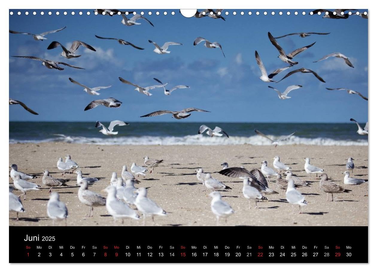 Frankreich Normandie (Wandkalender 2025 DIN A3 quer), CALVENDO Monatskalender: Malerische Landschaften der Normandie