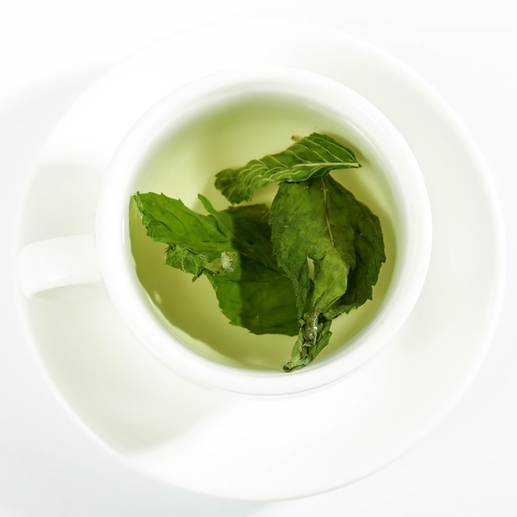Feuilles de menthe poivrée naturelles 500g / 17,63 Feuille de Menthe Séchée Saine, Tisane - Relaxante et Délicieuse