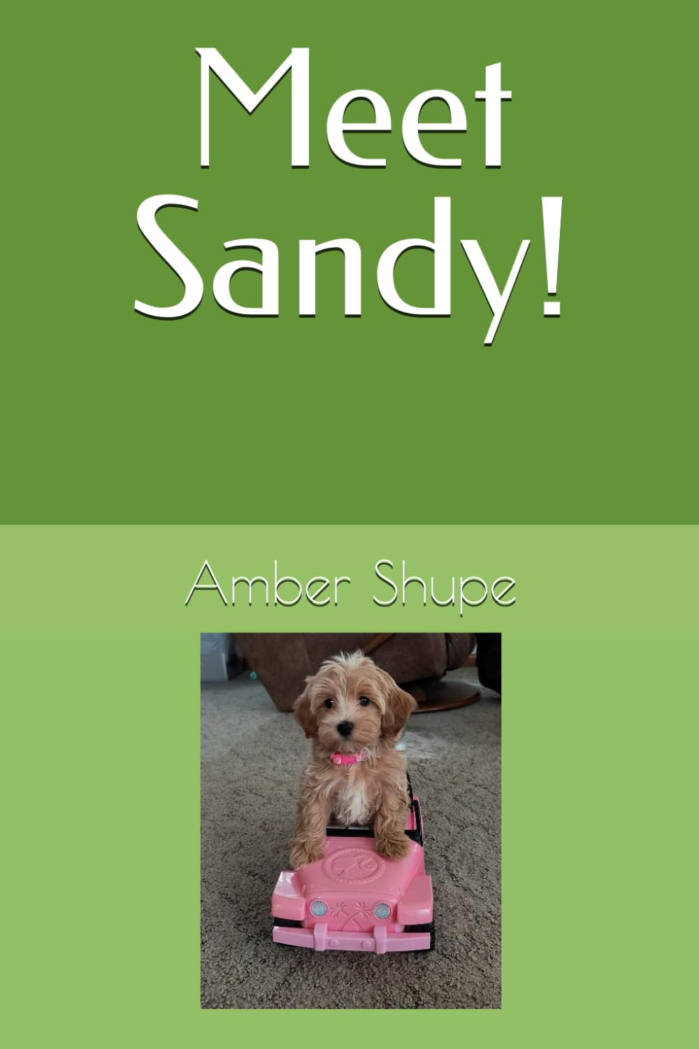 Meet Sandy! (Sandy's Life Series)