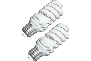 GE 13 Watt CFL Light Bulb (60 Watt Replacement)