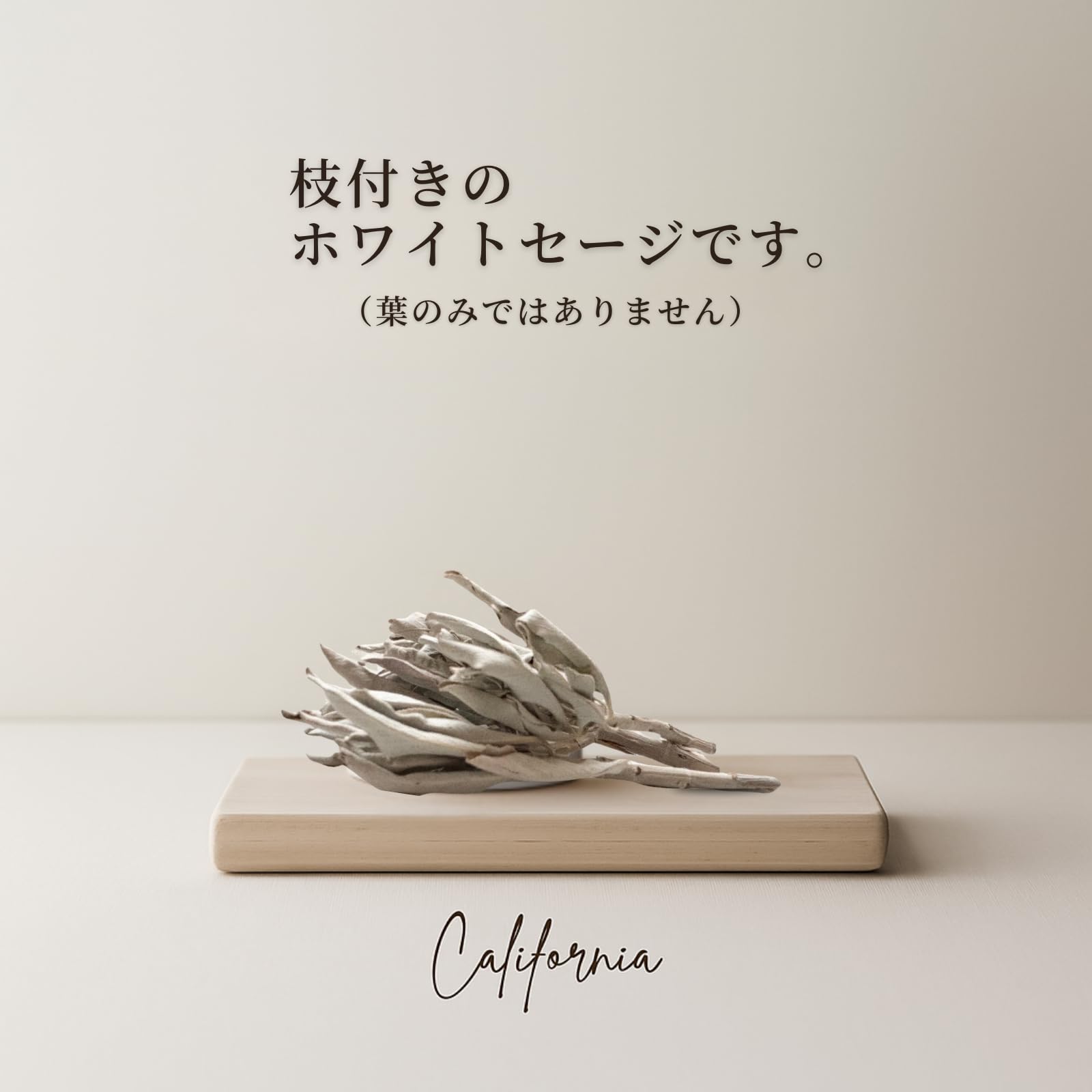 Amazon.co.jp: 【プラスチックボトル入り】 ホワイトセージ 浄化用 枝