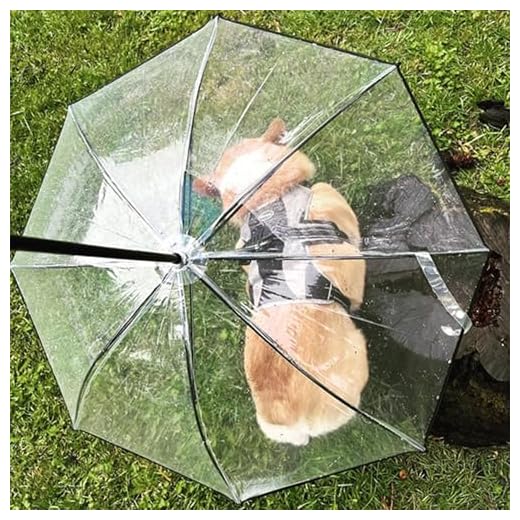 Adjustable Dog Umbrella for Rainy Walks