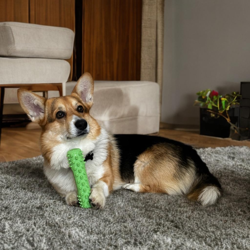 Natural Rubber Dental Toy Set view 3