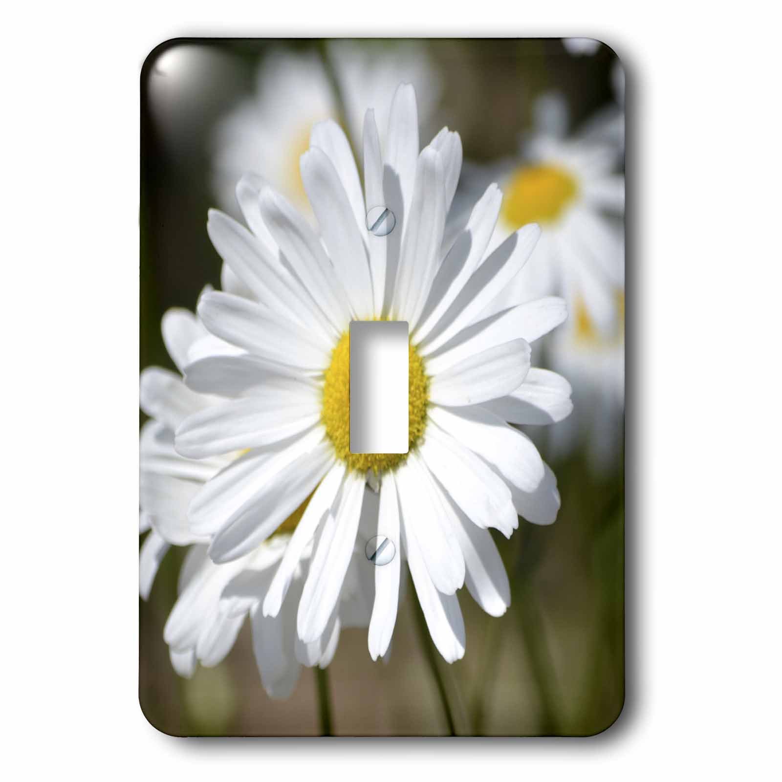 Interrupteur à baïonnette blanc édition photo d'art fleur printanière