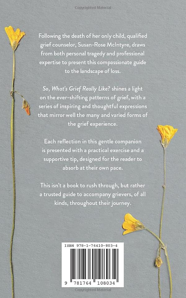 So, What's Grief Really Like?: A Book About Grief and Loss - Image 2