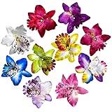Sanrich Bright Flower Hair Clips,Hawaiian Flowers for Hair,Hair Styling Pins,hair flowers,Floral Hairclips,Hibiscus Plumeria Hairpin Outfit decor (10 assorted colors-Thai Orchid)
