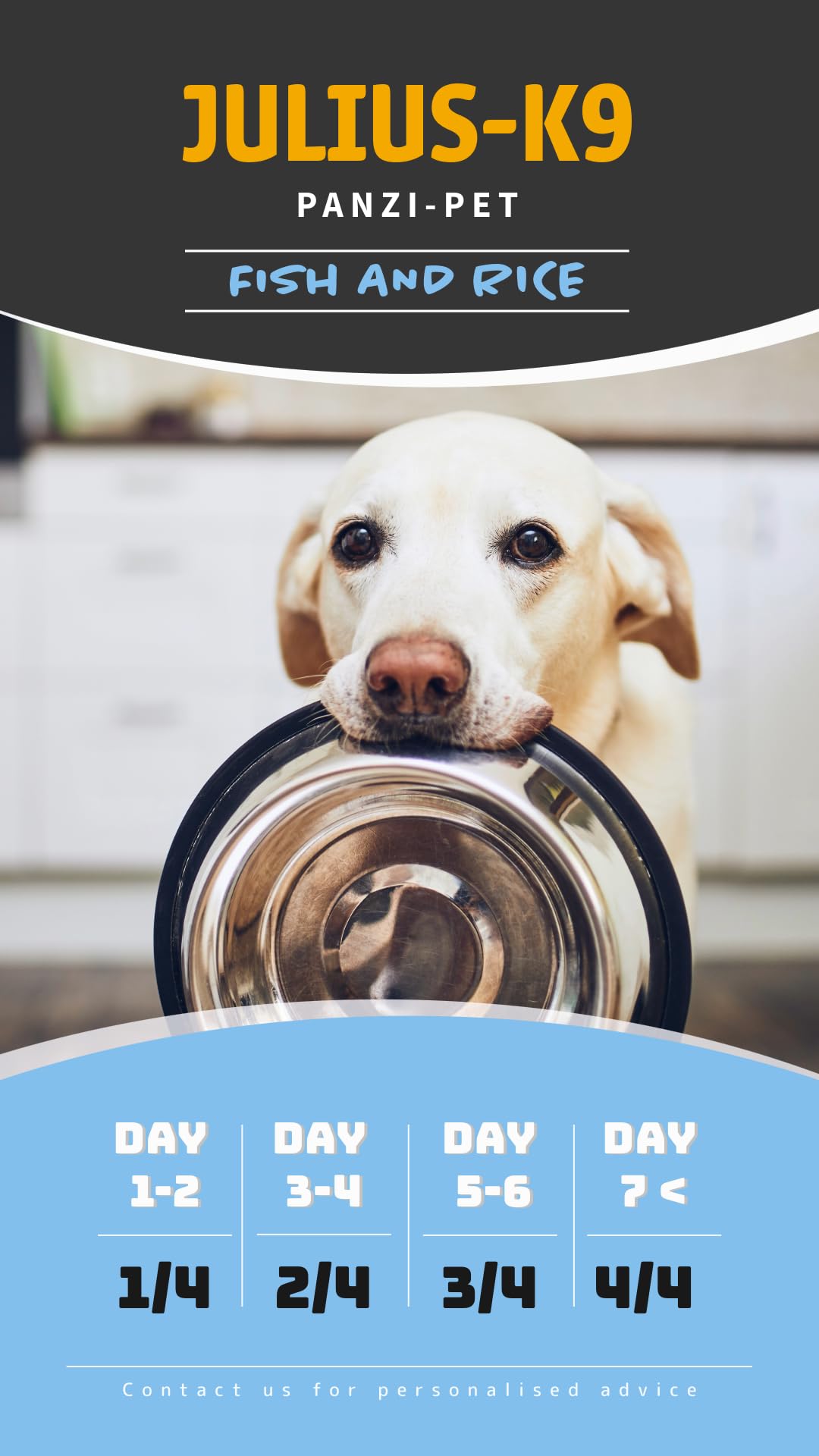 Julius-K9 - Fish & Rice - Hipoalergiczna karma dla psów dla dorosłych psów – kawałki psów na bazie łososia i ryżu – nadaje się do wszystkich ras – 12 kg
