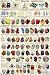 (24 x 36) Introduction to Minerals Educational Poster