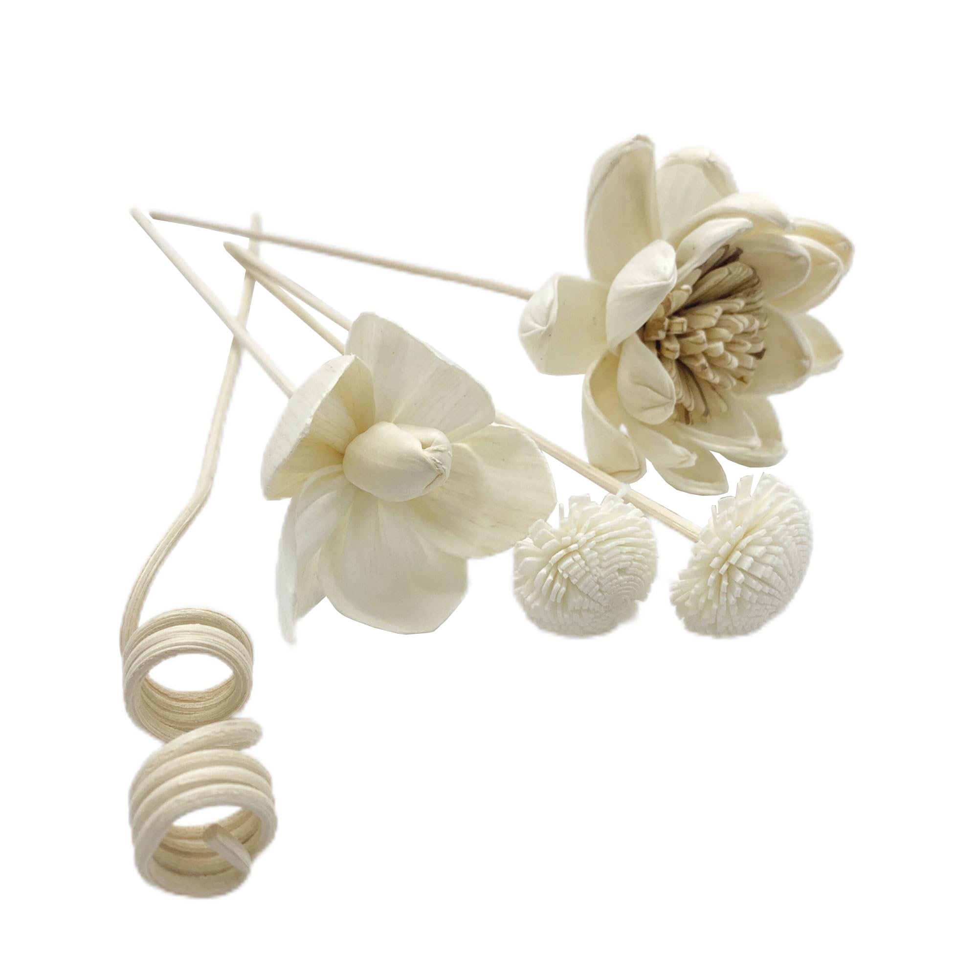 Skypro Light Brown Artificial Flower Rattan Sticks Set Fireless Fragrances Reed Diffuser Stick Essential Oil Aroma Diffuser Sticks Diy Ornaments Home Decor - Style 4