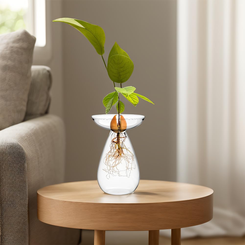 1pcs Glass Avocado Tree Flower Vase Seed Starter Planter, Transforent Avocado Hydroponic Vase Plant Propagation Station, Flower Bud Vases Gift for Gardening Lovers Decor, Tree Starter Pot