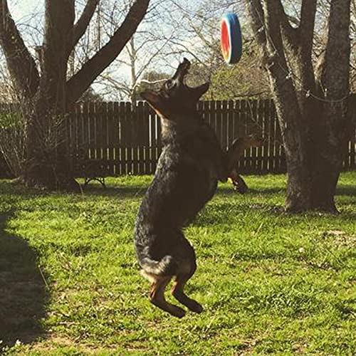 Chuckit! Fetch Wheel, Large Outdoor Dog Toy #TOP3