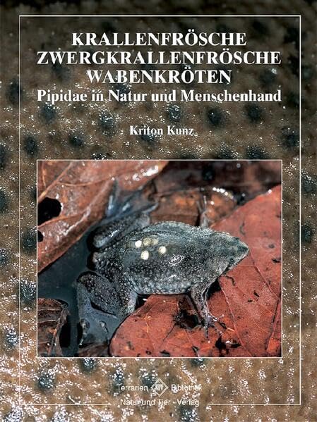 Krallenfrösche, Zwergkrallenfrösche und Wabenkröten: Pipidae in...