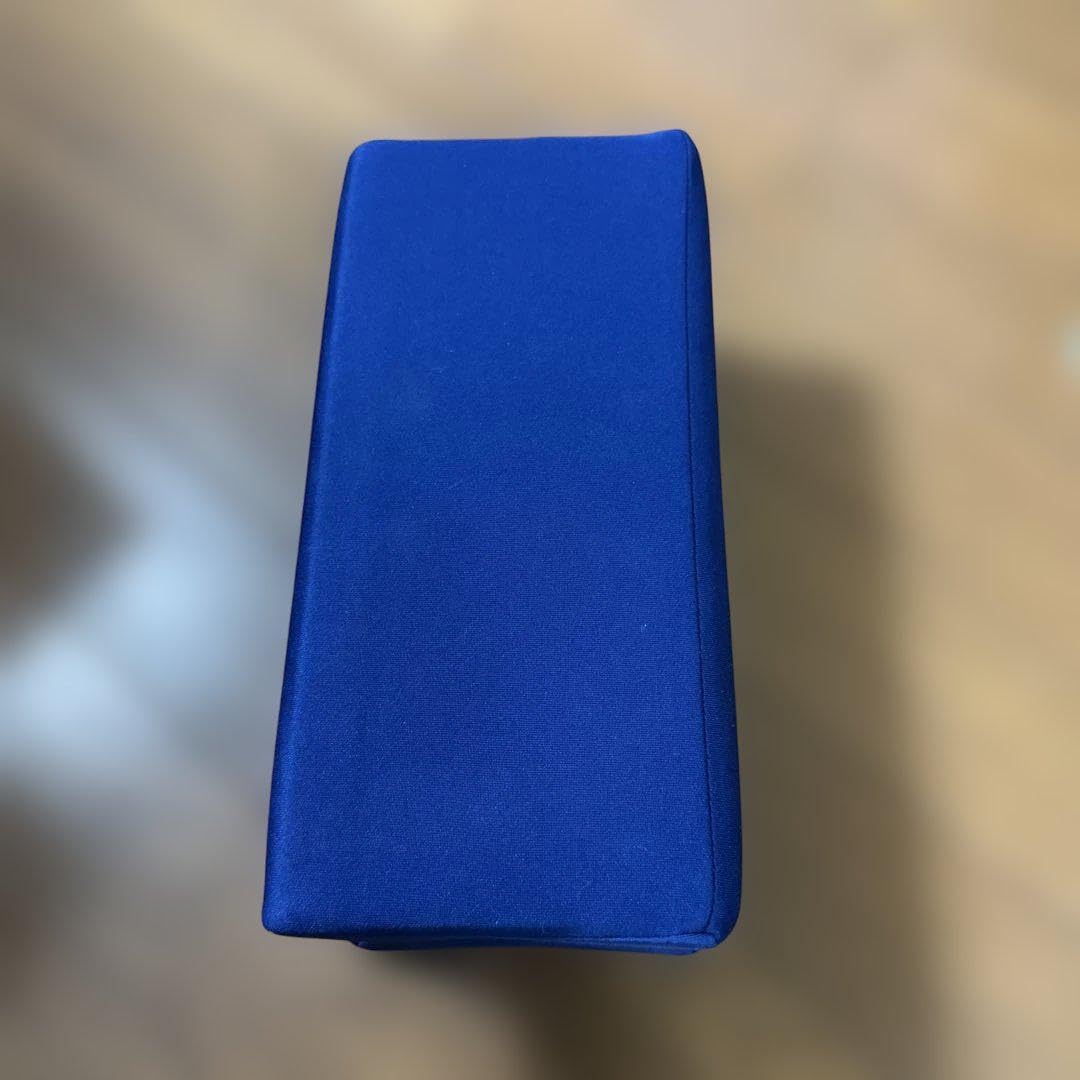 サルバドール・ダリ 大型リトグラフ 裸婦 貴族 天使 カーテン